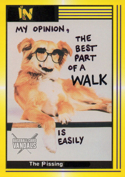 In My Opinion, The Best Part Of A Walk Is Easily The Pissing