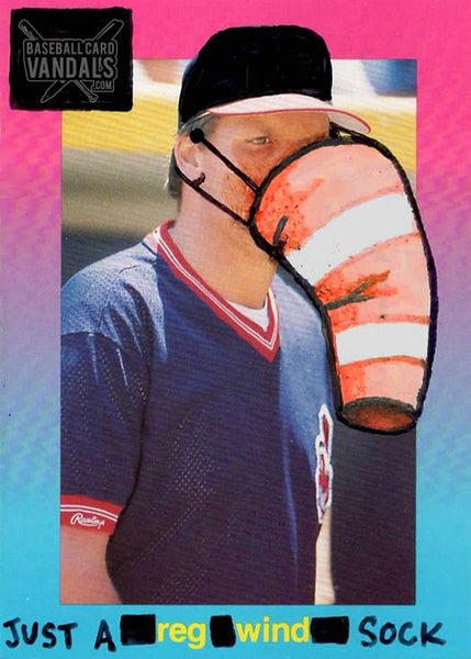Just A Reg Wind Sock