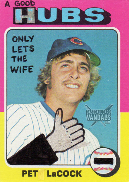 A Good Hubs Only Lets The Wife Pet LaCock