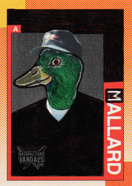 A Mallard