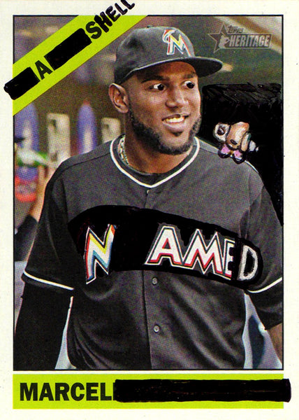 A Shell Named Marcel