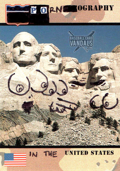 Pornography in the United States