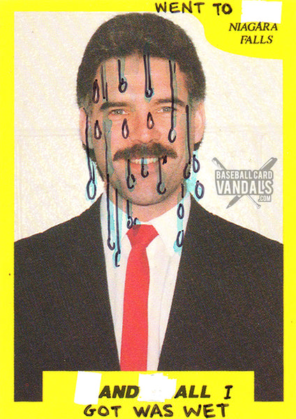 Went To Niagara Falls And All I Got Was Wet