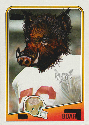 Boar