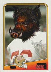 Boar