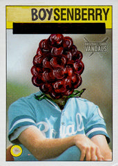 Boysenberry