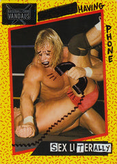 Having Phone Sex Literally