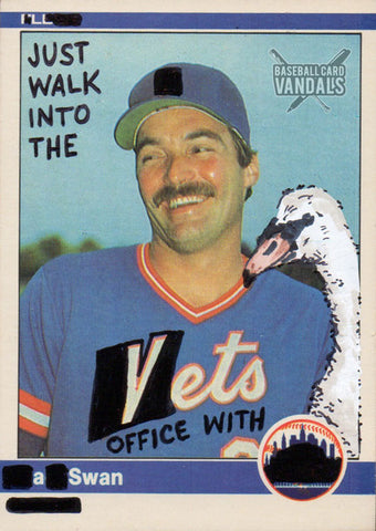 I'll Just Walk Into The Vets Office With A Swan