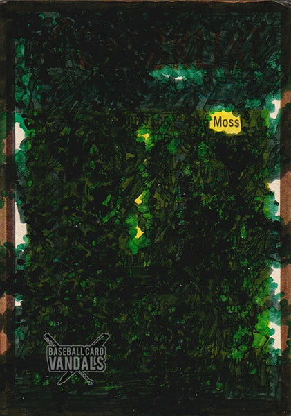 Moss