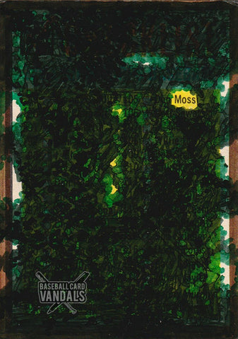 Moss