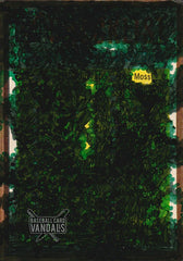 Moss