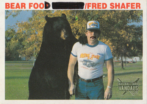 Bear Food