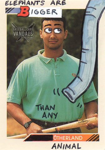 Elephants Are Bigger Than Any Other Land Animal