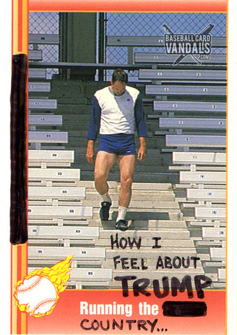 How I Feel About Trump Running The Country...