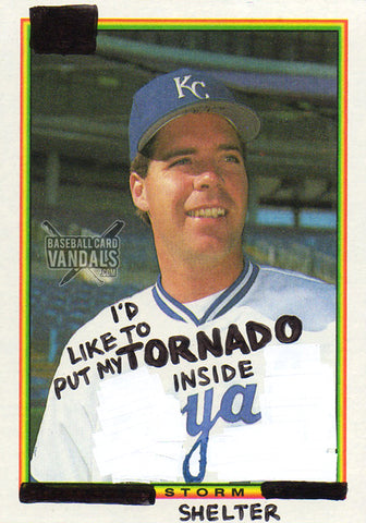 I'd Like To Put My Tornado Inside Ya Storm Shelter