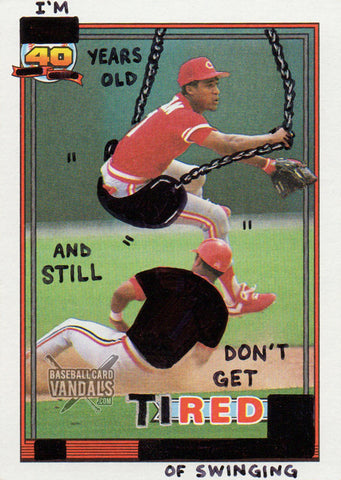 I'm 40 Years Old And Still Don't Get Tired Of Swinging