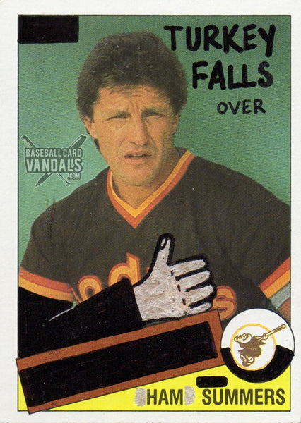 Turkey Falls Over Ham Summers