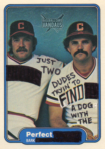 Just Two Dudes Tryin' To Find A Dog With The Perfect Bark