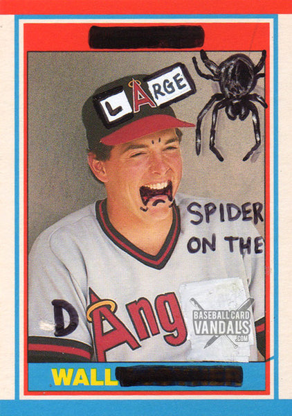 Large Spider On The Dang Wall