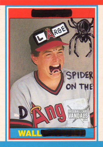 Large Spider On The Dang Wall