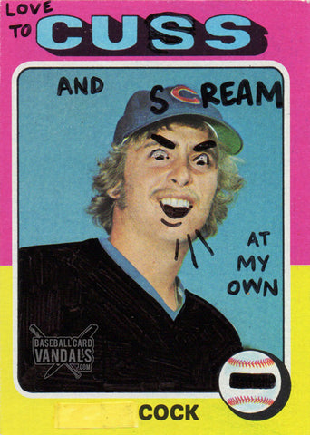 Love To Cuss And Scream At My Own Cock