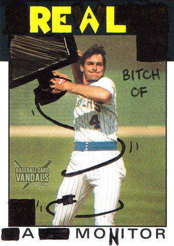 Real Bitch Of A Monitor