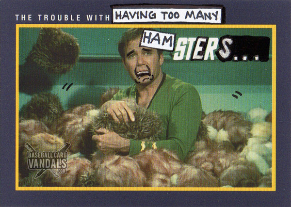 The Trouble With Having Too Many Hamsters...