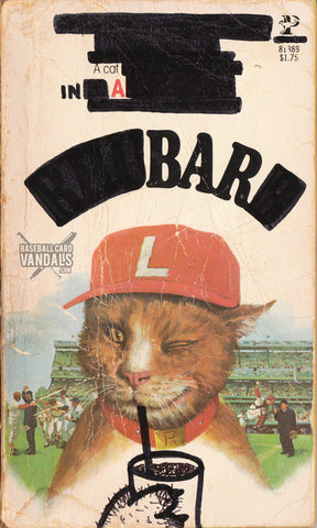 A Cat in a Bar